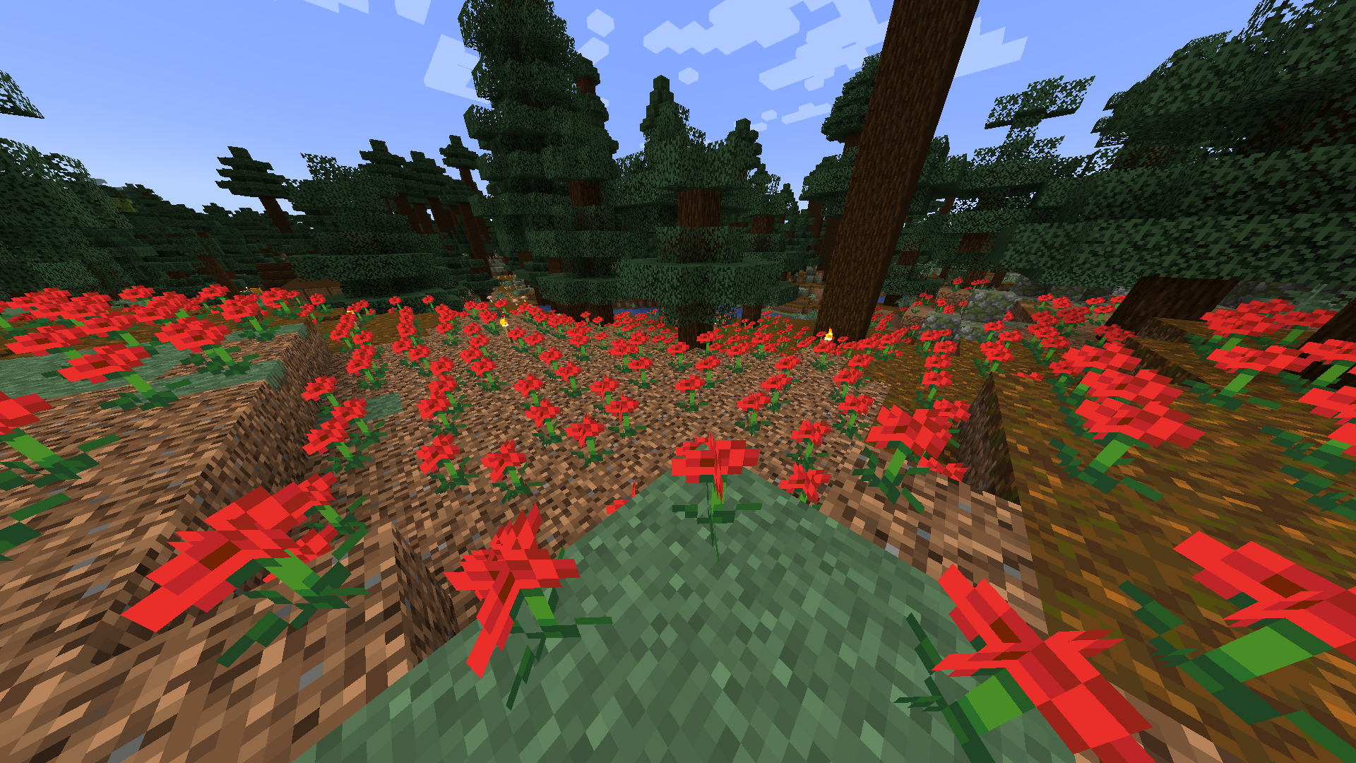 Flowers